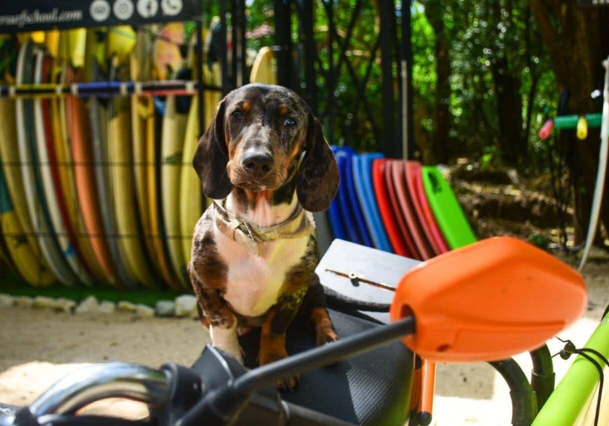 0c11d718-2626-41be-a060-9695e36d98e5_Original